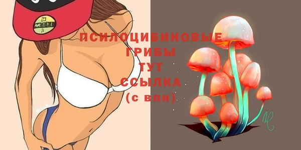 spice Балабаново