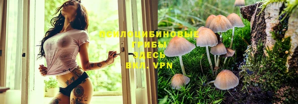 spice Балабаново