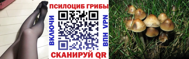 Псилоцибиновые грибы Psilocybe  купить наркотик  mega   Заринск 