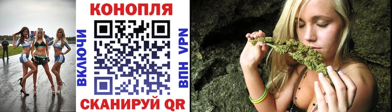 как найти наркотики  Заринск  Конопля тримм 